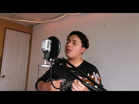 El David - Qué bonito fue (cover)