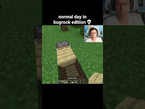 Minecraft Bugrock Moment