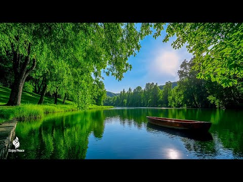 Beautiful Relaxing Music - Soothing, relaxing music reduces stress and stops thinking too much