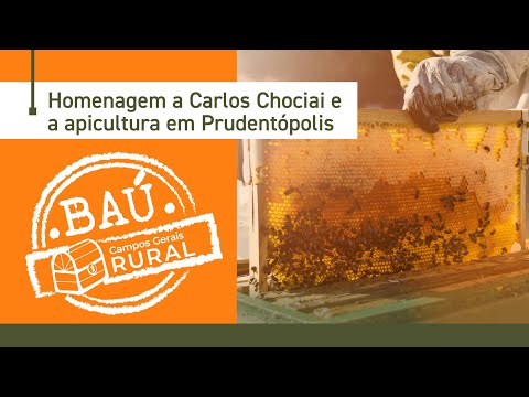 A apicultura em Prudentópolis