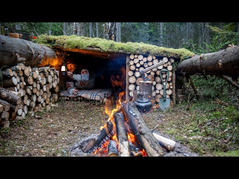 Built a secret shelter near fallen trees. Bushcraft in the wild forest. Survival skills in the wild!