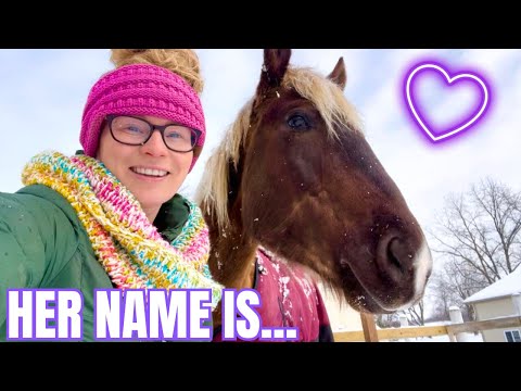 Our NEW Chocolate Mare's NAME REVEAL!