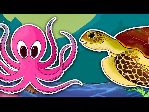 Sea Animal Guessing Game for Toddlers! Kids Learning Videos