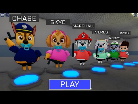 PAW Patrol! ALL BECOMING BABY PAW Patrol MORPHS BARRY #roblox #ScaryObby