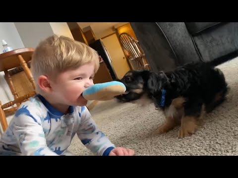 Are dogs good babysitters?! 😂 Funniest Kid Videos