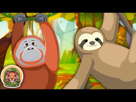 Learn About Endangered Animals! | Animal Songs For Kids | KLT WILD