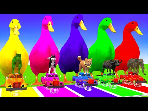 5 Giant Ducks Cartoon, Elephant, Gorilla, Lion, Buffalo, Dinosaur With Balls Game - Animals