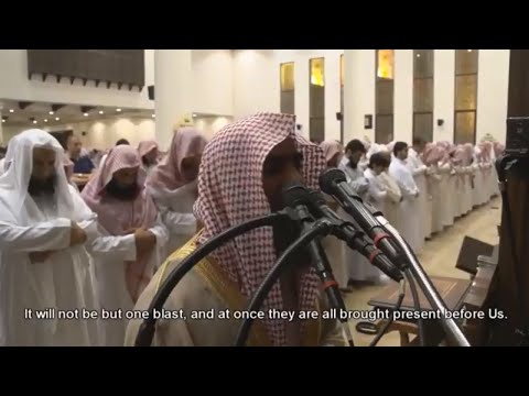 Muhammed Al Luhaidan quran recitation really beautiful l The light of holy quran