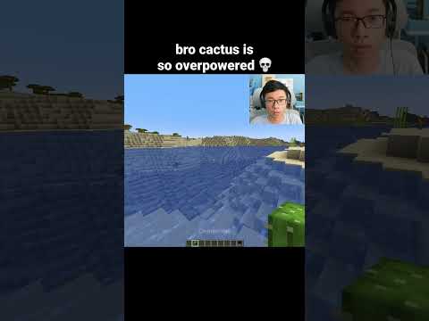 Minecraft Cactus Moment