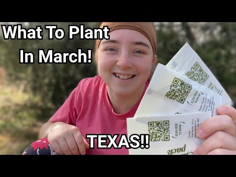 Plant THESE Crops in Texas Right NOW in March!