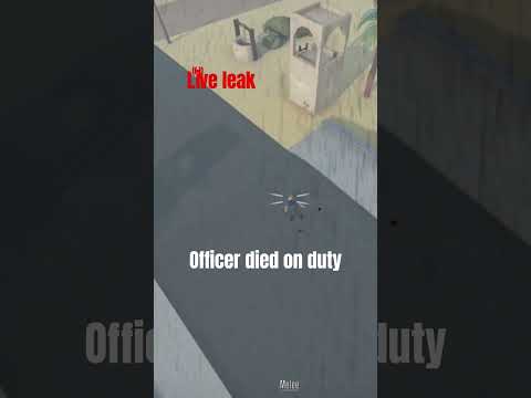 officer brutality killed on live leak (this was made in gorebox)