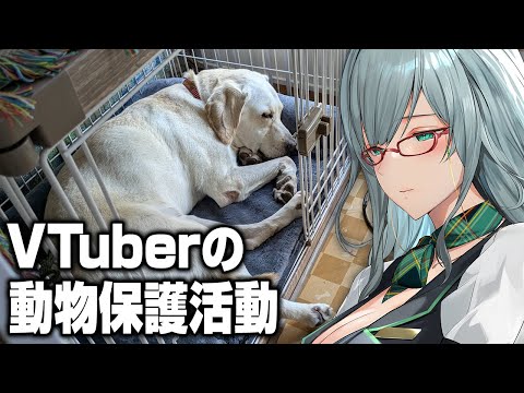 深夜に労働する私をみんながお布団の中から眺める配信【 AnimalShelter VTuber 河崎翆 ゲーム実況 】