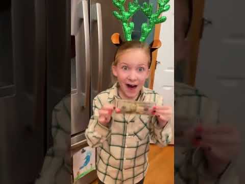 Christmas Tree Challenge! #game #family #challenge