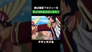 実は強者？ロジャーをやっつけるクロッカス！ #ワンピース #onepiece