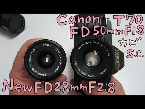 【フィルムカメラ 】Canon T70 に 単焦点レンズ New FD 28mm F2.8 と FD 50mm F1.8 S.C.で写真を撮りました！カビありレンズの作例　ジャンクカメラとFDレンズ