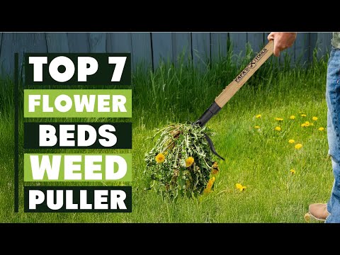 7 Best Weed Pullers for Flower Beds: Essential Tools for Gardeners