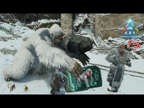 大量のティラノ軍団を投入して雪山の王者を討伐せよ！【ARK SURVIVAL ASCENDED】#１０