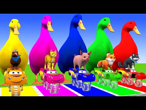 5 Giant Duck Cartoon,Cow,Elephant,Tiger,Lion,Gorilla, Paint Wild Animals Crossing Fountain Animation