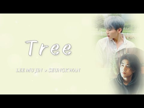 [日本語字幕/カナルビ] 나무(Tree/木) - スングァン×イ・ムジン / COVER / 原曲Car, the garden / リムジンサービス