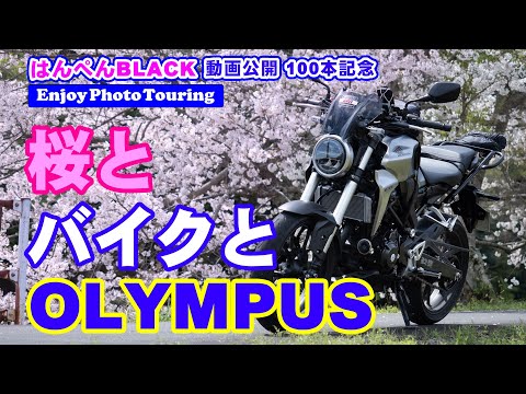 桜とバイクとOLYMPUS -はんぺんBLACK 100本目-