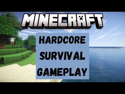 Minecraft Hardcore Survival Gameplay (400 subs special) - Part 1