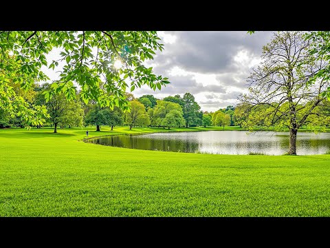 Relaxing Piano Nature Music - Stress Relief, Peaceful Sleep Music, Soothing and Calming Music #7