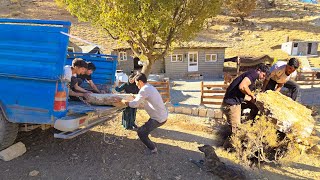 🚛"Milad and Hassan: The Stone Mill Truck Challenge!"👬