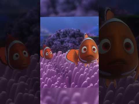 This Dark Detail In ‘Finding Nemo’ Reveals That Marlin Never Found Nemo…