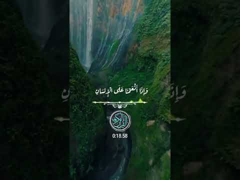 @احمد العجمي