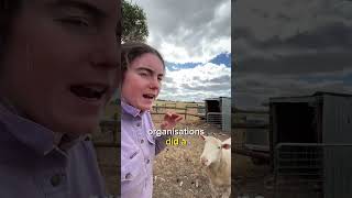 Something VERY Important We Need To Know!  #sheepfarming #sheep #farmvlog