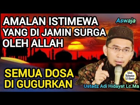 Surga Menanti! Amalan Ini Pahalanya Setara Jihad, Langsung Dijanjikan Allah - Ustadz Adi Hidayat