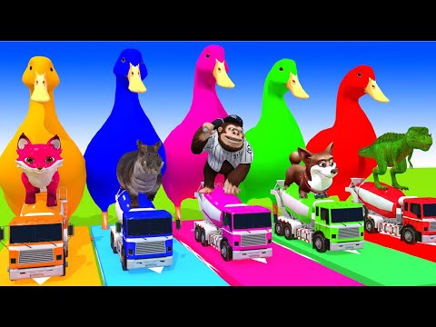 5 Giant Duck Cartoon, Cow, Mammoth, Elephant, Lion, Paint Wild Animals Crossing Fountain Animation