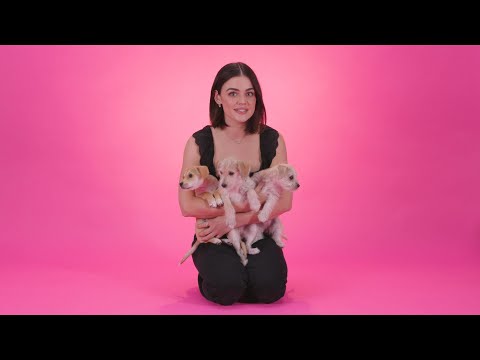 Lucy Hale: The Puppy Interview