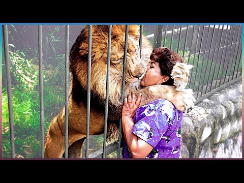 These Animals Don't Forget Their Owners After Years | Animal Reunion