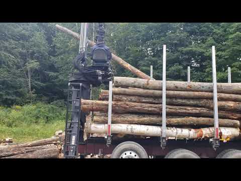 A load of logs delivered for the winter months.