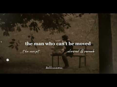 the script - the man who can't be moved {slowed & reverb}