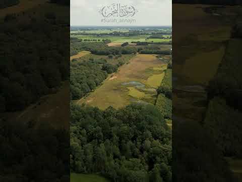 سورة النجم 🌙 آيات تلامس روحك بالهدوء والسلام | Surah An-Najm 🌙Verses That Touch Your Soul with Peace