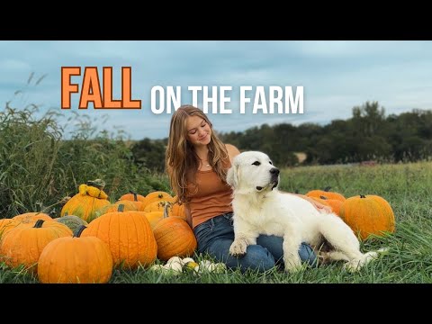 Enjoying Fall on a Small Farm