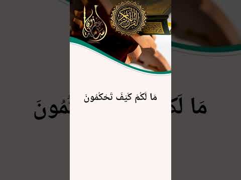 إِنَّ لِلْمُتَّقِينَ عِندَ رَبِّهِمْ جَنَّاتِ النَّعِيمِ | القارئ أسامة عطران