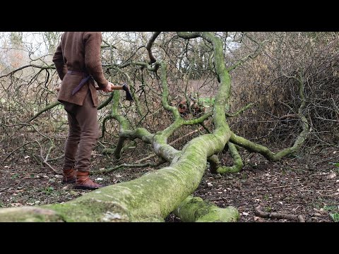 Medieval Woodland Forestry Ambience | Axe Woodcutting, Birdsong and Riverside Nature