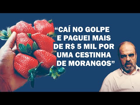 JORNALISTA PREMIADO ALERTA SOBRE GOLPE DA CESTINHA DE MORANGOS DE R$ 5.147,00... | Cortes 247