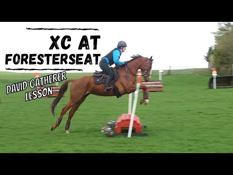 CROSS COUNTRY SCHOOLING | Lesson with David Gatherer at Foresterseat