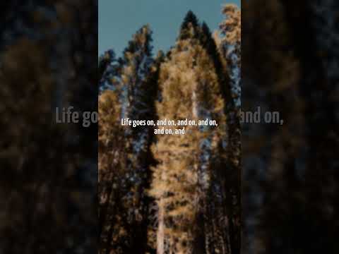 Oliver Tree - Life Goes On | Lyrics