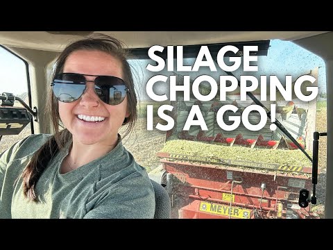 Day one of silage chopping always comes with challenges | Day in the life of a 27 year old farmer