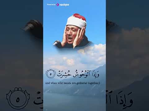 الشيخ عبد الباسط عبد الصمد #quran