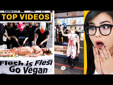 I Found Someone Worse Than Vegan Teacher | SSSniperWolf