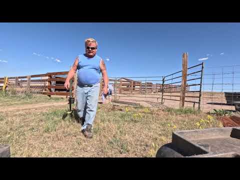 Just another corral fence project #highlandcows #diy