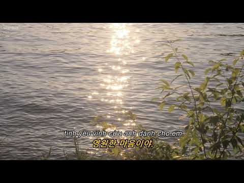 lily of the valley - daniel lyrics//vietsub