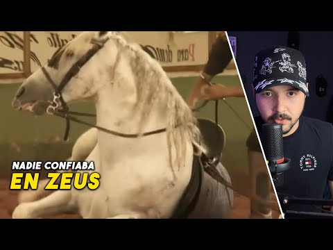 Nobody trusted this horse Zeus