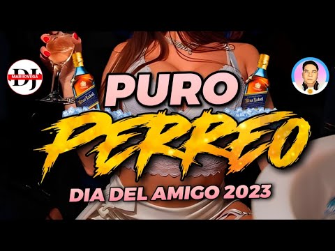 ALTA PREVIA 2023🍾 PURO PERREO & RKT - MARIIOVEGA DJ FT DJ BENJAMIX⚡️ - CLANDESTINA - DIA DEL AMIGO